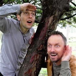 Did You Hear What I Saw?