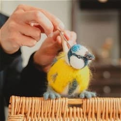 Hello Birds