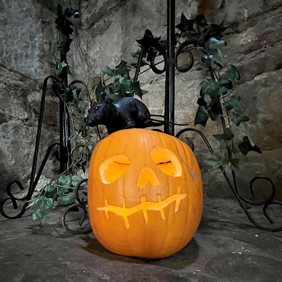 Halloween Shenanigans at Craig-thriller Castle