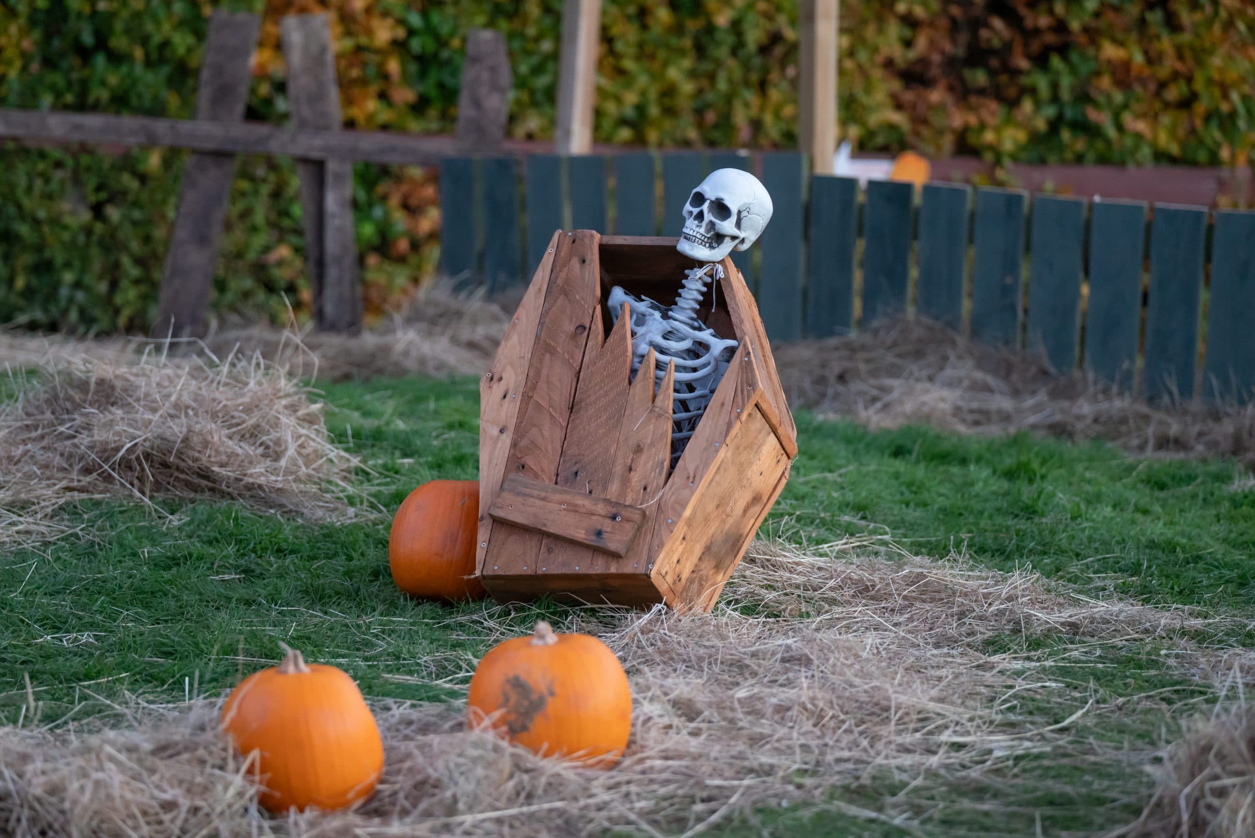 Spooktober Half Term at Almond Valley Heritage Centre