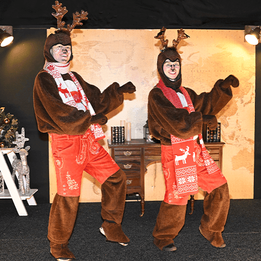 Christmas Experience at Conifox, Kirkliston